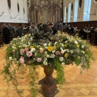 8DCCC619-0059-4E73-8710-B589D30C3210_1_105_c